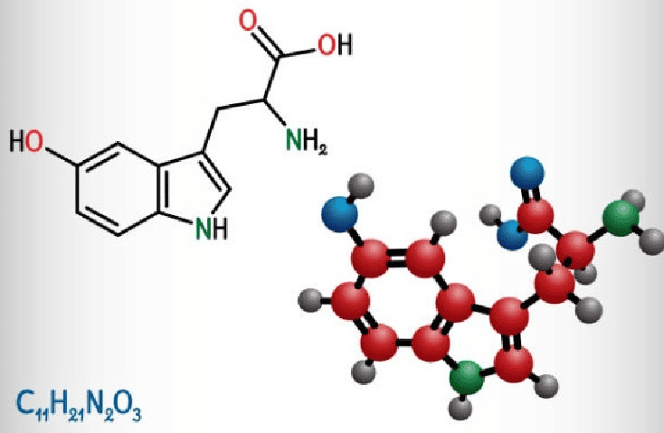 5-HTP ingredient